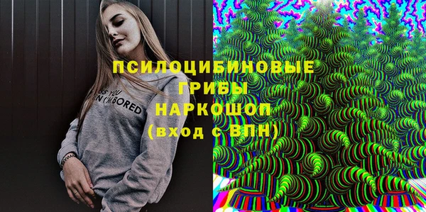 дмт Алексеевка