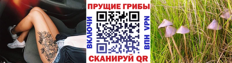 даркнет сайт  Среднеколымск  Псилоцибиновые грибы ЛСД 